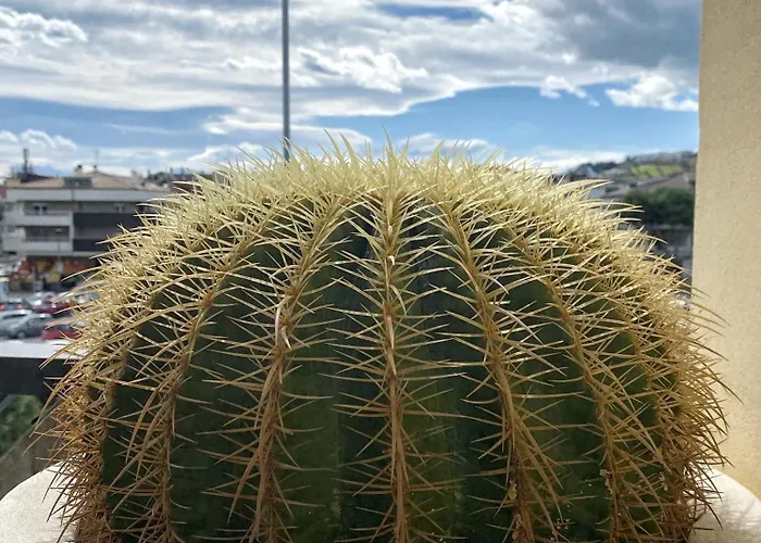 Studio_suite05 Apartamento Alba Adriatica